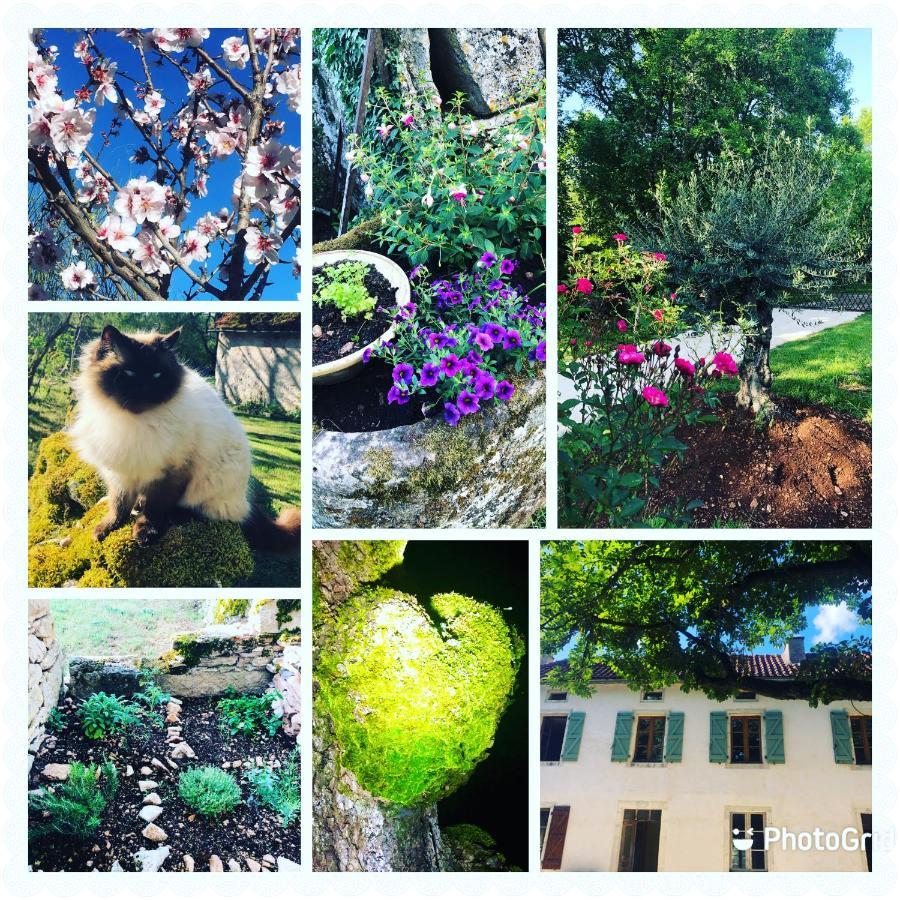 Limogne-en-Quercy Mas D'Aubrac B&B 외부 사진