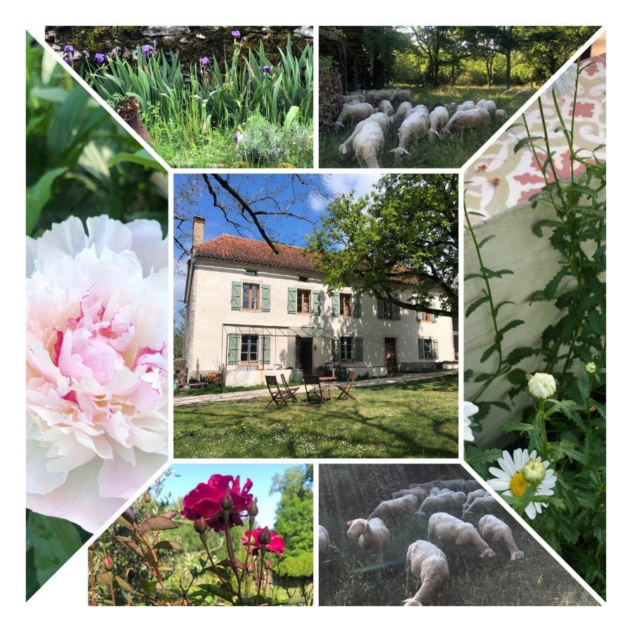 Limogne-en-Quercy Mas D'Aubrac B&B 외부 사진