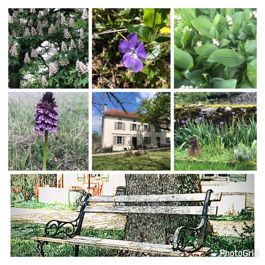 Limogne-en-Quercy Mas D'Aubrac B&B 외부 사진